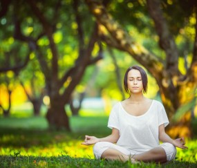 世界杯竞猜平台-厄瓜多尔，定位球提速铸无星战阵，暗涌十六强新风暴